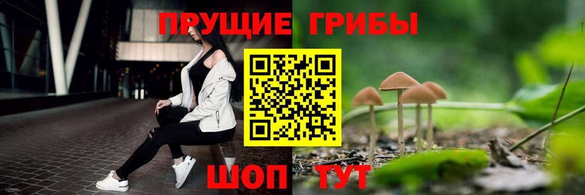 Галлюциногенные грибы Psilocybine cubensis  Галлюциногенные грибы Cubensis  Вход с VPN  Мичуринск 